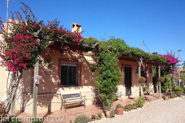 House sit in Cuesta Blanca, Spain