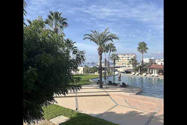 House sit in Cabo San Lucas, Mexico