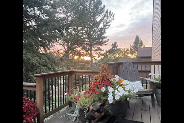 House sit in Parker, CO, US