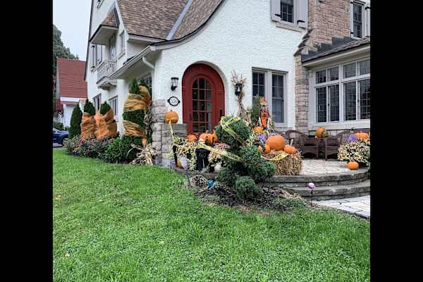 House sit in Ottawa, ON, Canada