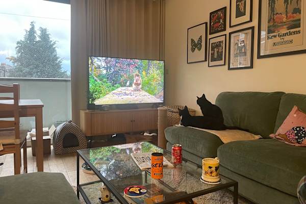 House sit in Deptford, United Kingdom