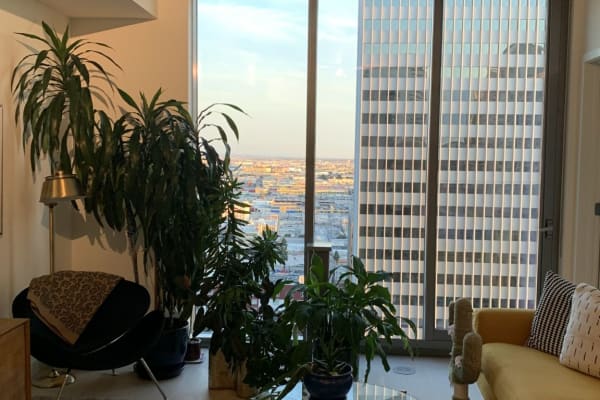 House sit in Los Angeles, CA, US