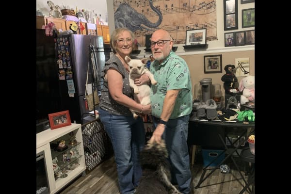 House sit in Warsaw, IN, US