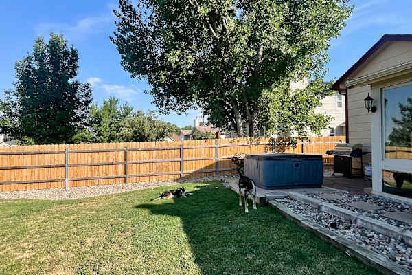 House sit in Colorado Springs, CO, US