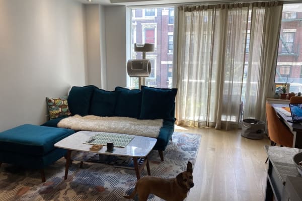 House sit in New York City, NY, US