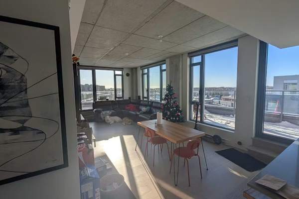House sit in Montréal, QC, Canada