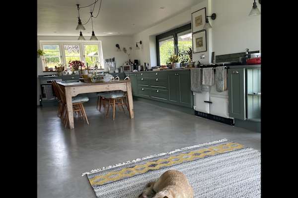 House sit in Buxted, United Kingdom