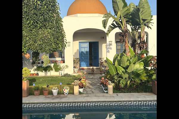 House sit in Algemesí, Spain
