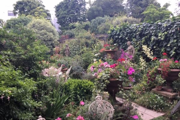 House sit in Highgate, United Kingdom