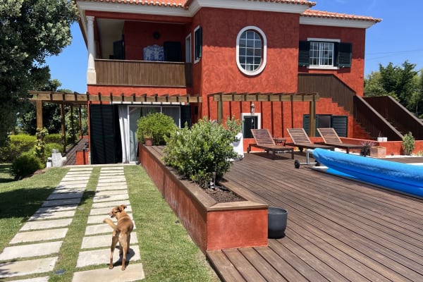 House sit in Ericeira, Portugal