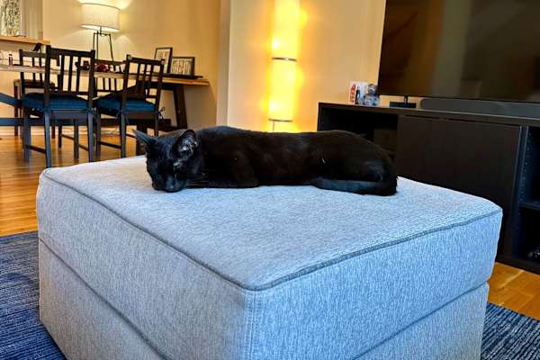 House sit in Edgewater, NJ, US