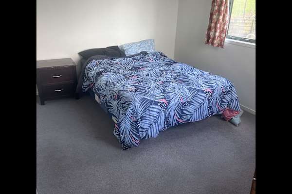 House sit in Mangawhai, New Zealand