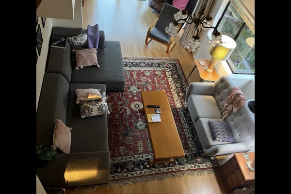 House sit in Devonport, New Zealand