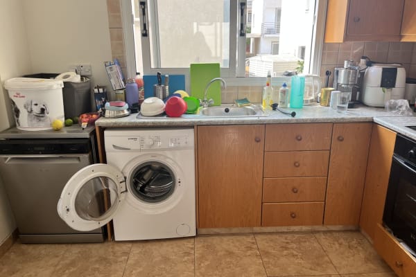 House sit in Paralímni, Cyprus