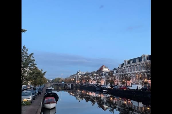 House sit in Haarlem, Netherlands