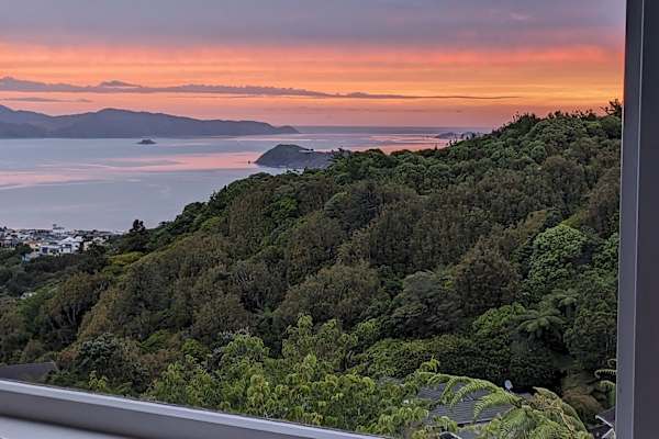 House sit in Lower Hutt, New Zealand