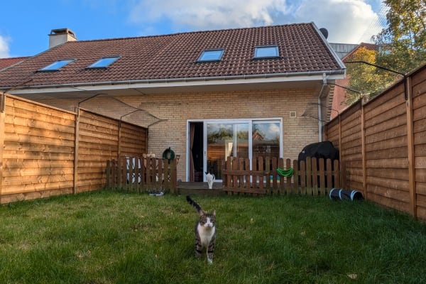 House sit in Copenhagen, Denmark