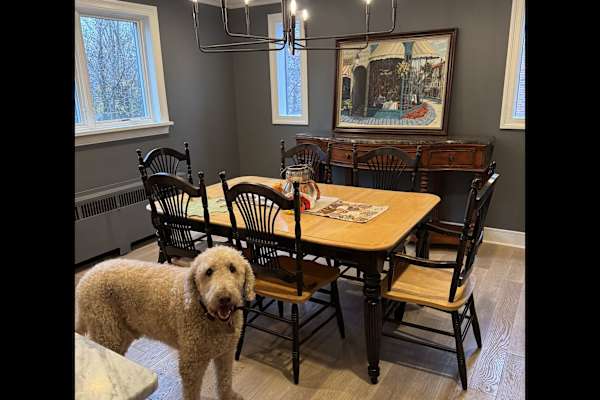 House sit in Pittsburgh, PA, US