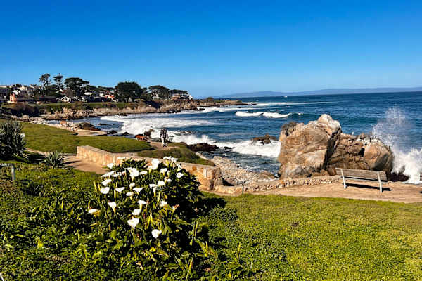 House sit in Monterey, CA, US