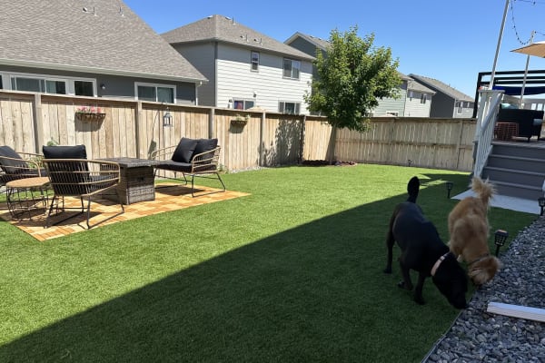 House sit in Berthoud, CO, US