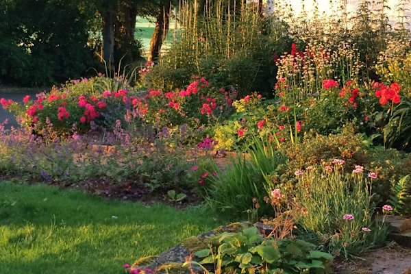 House sit in Crieff, United Kingdom