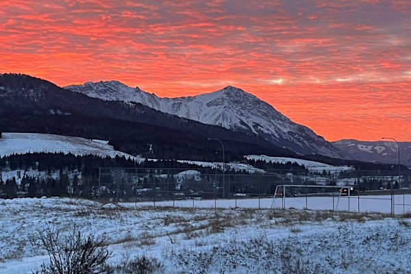House sit in Blairmore, AB, Canada
