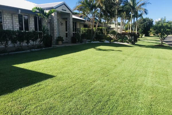 House sit in Hervey Bay, QLD, Australia