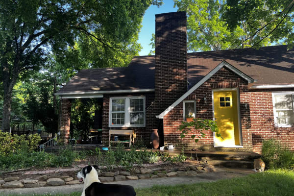 House sit in Knoxville, TN, US