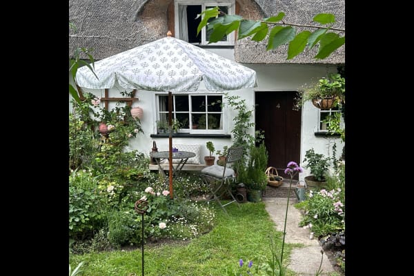 House sit in Cambridge, United Kingdom