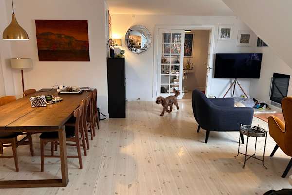 House sit in Copenhagen, Denmark