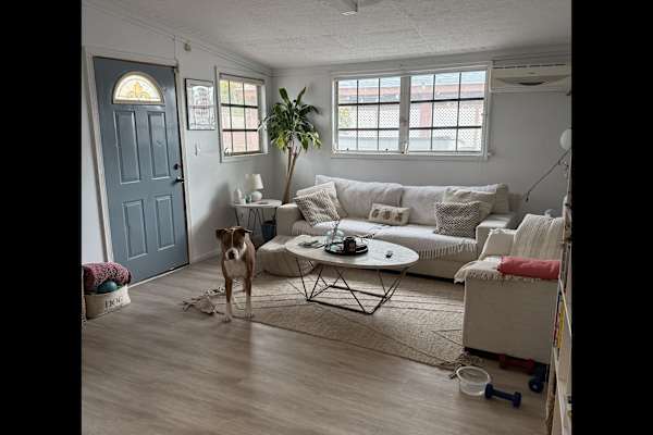 House sit in Nassau, Bahamas