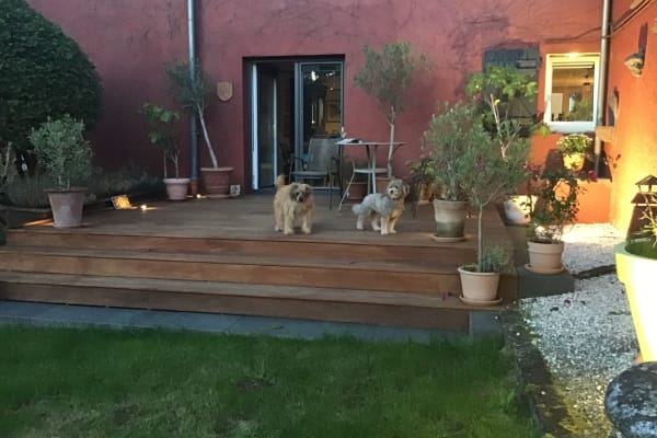 House sit in Junglinster, Luxembourg