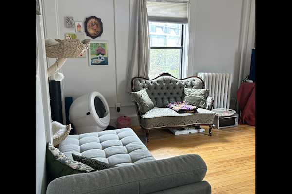 House sit in Boston, MA, US