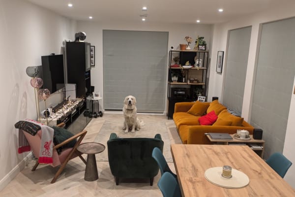 House sit in Earlsfield, United Kingdom