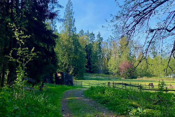 House sit in Duncan, BC, Canada