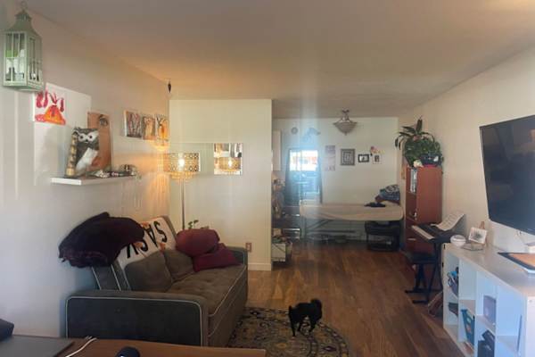 House sit in Victoria, BC, Canada