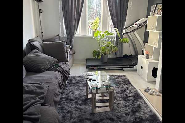 House sit in Gloucester, United Kingdom