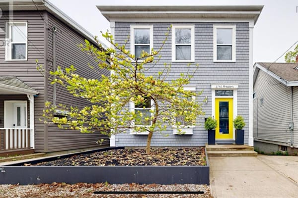 House sit in Halifax, NS, Canada