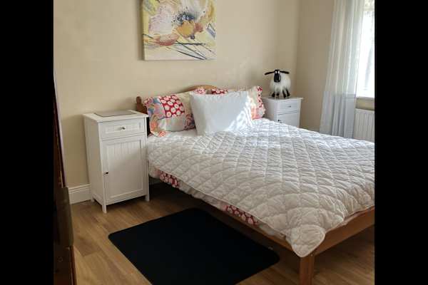 House sit in Killala, Ireland