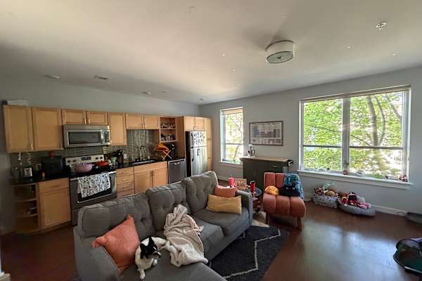 House sit in Portland, ME, US