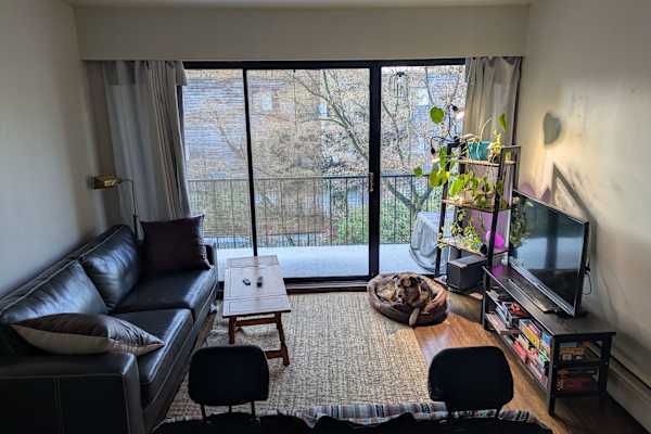 House sit in Vancouver, BC, Canada