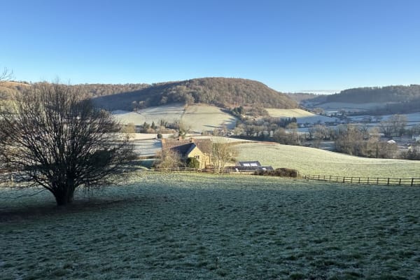 House sit in North Nibley, United Kingdom