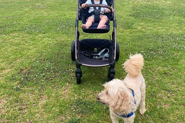 House sit in Coffs Harbour, NSW, Australia