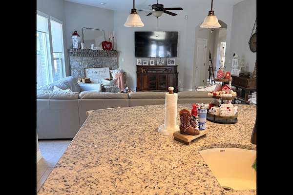 House sit in Georgetown, TX, US