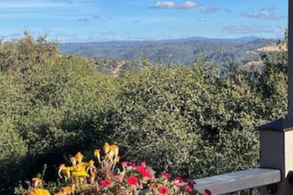 House sit in Sacramento, CA, US