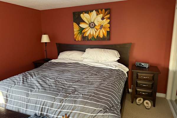 House sit in Calgary, AB, Canada