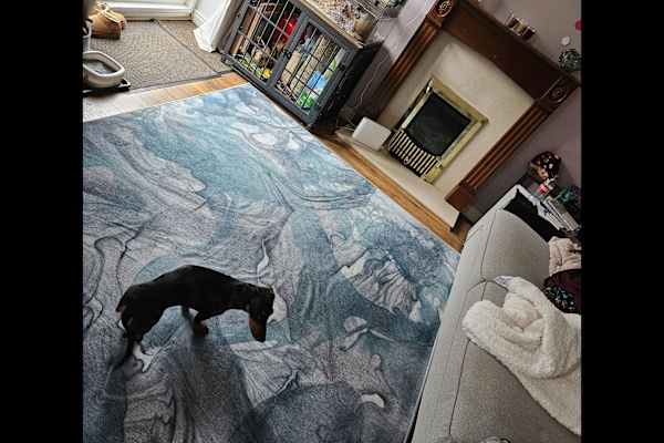 House sit in Eaton Socon, United Kingdom