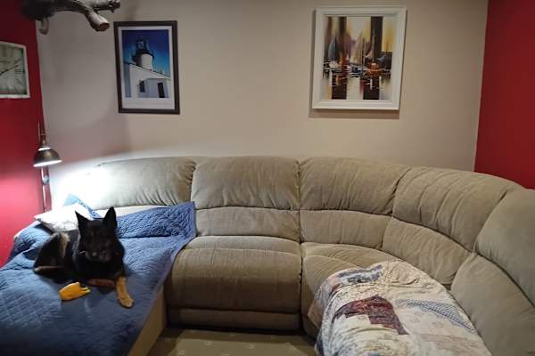 House sit in Bray, Ireland