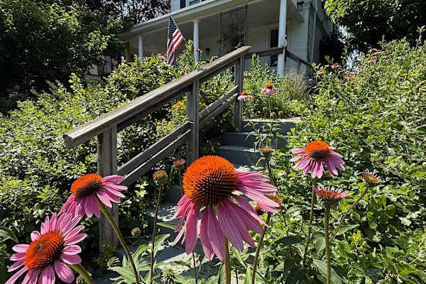 House sit in Narberth, PA, US