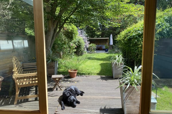 House sit in London, United Kingdom